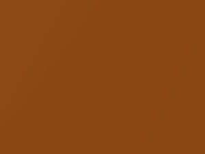 Pride Orange Metallic touch-up paint for Ford, code 5FLQ, FLQ + alternatives, 2018