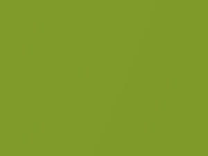 Pulse Green Pearl touch-up paint for Nissan, code JAL, 2020