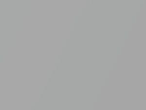 Spark Silver Metallic touch-up paint for Subaru Forester, code C3S, 2011