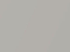 Silver Birch Metallic touch-up paint for Ford Police Car, code 7052, JP, M7052, M7052A, 2010