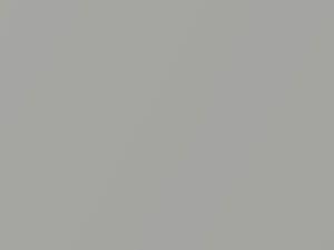 Millenium Silver Metallic touch-up paint for Lexus RX300, code 1C0, 2004
