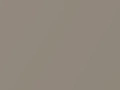 Light Sandrift Metallic touch-up paint for Chevrolet Cavalier, code 220C, 49, WA220C, 2004