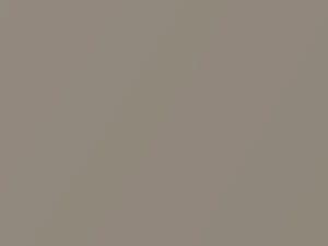 Light Sandrift Metallic touch-up paint for Oldsmobile, code 220C, 49, WA220C, 1996
