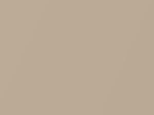 Naples Gold Metallic touch-up paint for Honda Accord Coupe, code YR524M, 2001