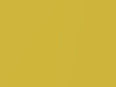 Audi Pythongelb Metallic touch up paint LX1X 2021 Tts