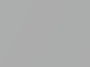 Bright Silver Metallic touch-up paint for Hyundai Elantra, code BX, 2010