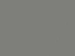 Silverstone Metallic touch-up paint for Chrysler, code XS5, 2000