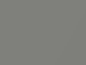 Silverstone Metallic touch-up paint for Chrysler, code XS5, 2000
