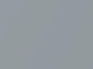 Sonic Silver Metallic touch-up paint for Fiat, code 45P, 807, 807B, PSP, SSP, 2020