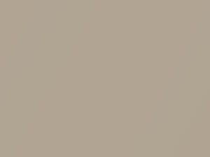 Savannah Metallic touch-up paint for Toyota Land Cruiser, code 4R4, 2005