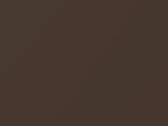 Brown Metallic touch-up paint for Mitsubishi Eclipse Cross, code C21, CMC10021, 2019