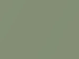 Volkswagen Gecko Green Metallic touch up paint 8U 2020 All Models