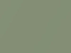 Volkswagen Gecko Green Metallic touch up paint 8U 2019 All Models