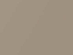 Cashmere Metallic touch-up paint for Buick, code 15U, 929L, WA929L, 2007