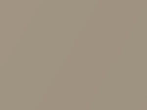 Cashmere Metallic touch-up paint for Buick, code 15U, 929L, WA929L, 2007