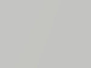 Brilliant Silver Metallic touch-up paint for Ford Taurus X, code M7208A, UI, 2009