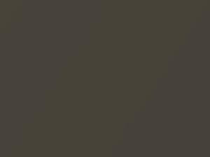 Oxide Bronze Metallic touch-up paint for Toyota C-Hr, code 6X1, 2021