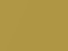 Daybreak Yellow Mica touch-up paint for Lexus Ct, code 5B1, 2011