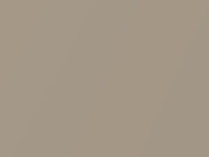 Dune Pearl touch-up paint for Ford, code M7150A, ND, 2008