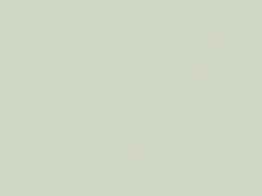 Challenger Alpine White touch-up paint for Mitsubishi, code AC11032, CS, W32, WQ, 1998