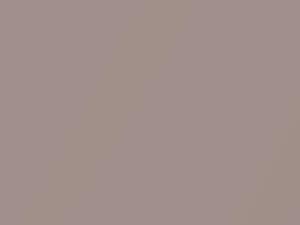 Light Rose Metallic touch-up paint for Toyota, code T22, 2021