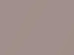 Light Rose Metallic touch-up paint for Toyota, code T22, 2021