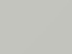 Noble White touch-up paint for Hyundai Satellite, code NW, 2000