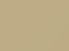 Volkswagen Harvest Moon Beige touch up paint 9807 2018 E-Golf