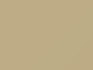 Volkswagen Harvest Moon Beige touch up paint 9807 2018 Golf
