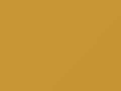 Medium Yellow touch-up paint for Nissan, code ES3, 2002