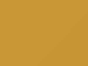 Medium Yellow touch-up paint for Nissan, code ES3, 2002