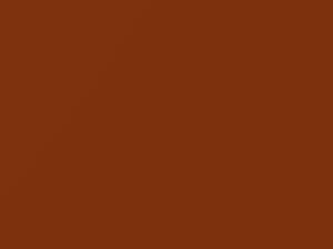 Wildtrak Orange Mica touch-up paint for Ford, code 33J, 738, CO, PN4BW, 2016