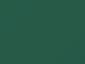 Verde Ulivo touch-up paint for Fiat Panda, code 376, 376A, 2002