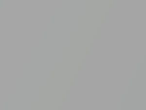 Star Silver Metallic touch-up paint for Nissan, code G64, Z34, 2008