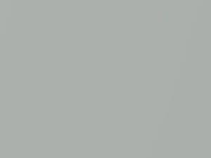 BMW Pearl Silver Metallic touch up paint X01 2013 All Models