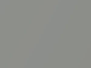 Silvermist Metallic touch-up paint for Chevrolet Express, code 17, 301D, WA301D, 1999