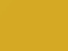 Brilliant Yellow touch-up paint for Suzuki, code ZY2, 2003