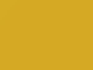 Brilliant Yellow touch-up paint for Suzuki, code ZY2, 2003