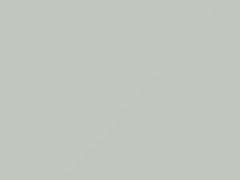 Olympic White touch-up paint for Buick Regal, code 50, 8624, GAZ, WA8624, 2020