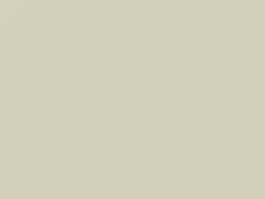Diamond White touch-up paint for Ford Ecosport, code M6347A, ZA, ZAFAWWA, 2019