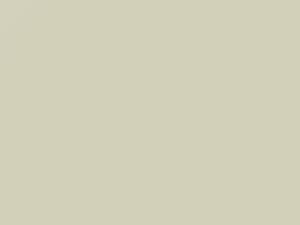 Diamond White touch-up paint for Ford, code M6347A, ZA, ZAFAWWA, 2019
