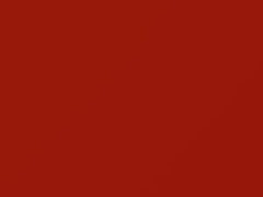 Competition Orange touch-up paint for Ford, code 7117, CY, M7117A, 2016