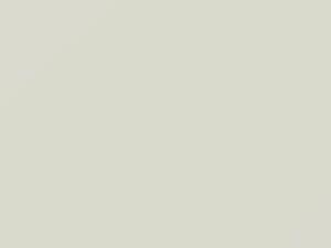 Hi Performance White touch-up paint for Ford, code HP, M7139A, 2013