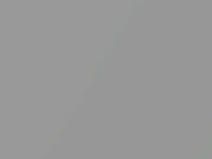 Vogue Silver Metallic touch-up paint for Acura, code NH583M, 2000