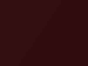 New Roma Red Metallic touch-up paint for Nissan, code A31, 2008