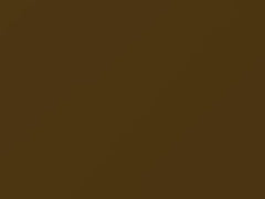 BMW Galvanic Gold Metallic touch up paint C1P 2017 X2