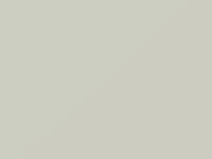 Bright White touch-up paint for Suzuki Swift, code Z9F, 2001