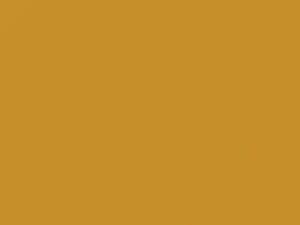 Sunny Yellow touch-up paint for Volkswagen California, code 11478, H1Q, LH1Q, M9, 2015
