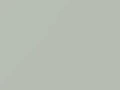 Bianco Divino touch-up paint for Fiat Punto, code 296, 296A, PWV, 2017
