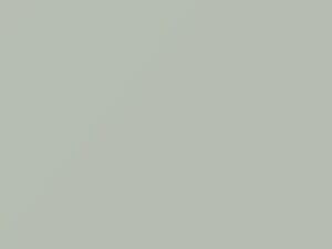 Bianco Divino touch-up paint for Fiat Punto, code 296, 296A, PWV, 2017
